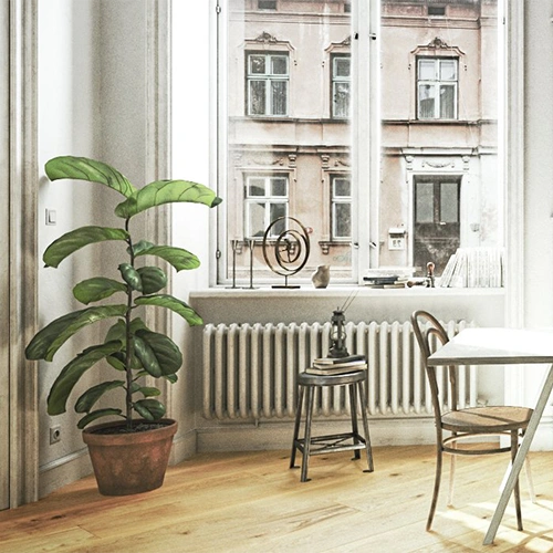 FertigDeska Luxury